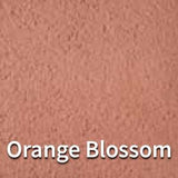 Orange Blossom