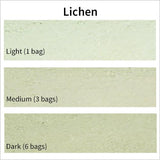 Stucco integral color, Lichen