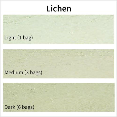 Stucco integral color, Lichen